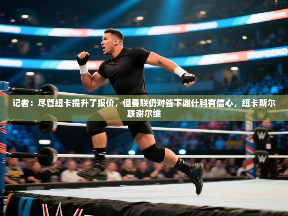 记者：尽管纽卡提升了报价，但曼联仍对签下谢什科有信心，纽卡斯尔联谢尔维  第1张
